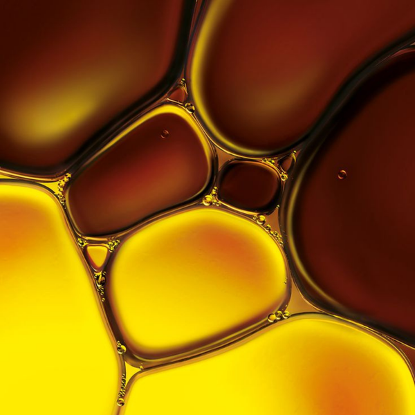 ThymoQuin®